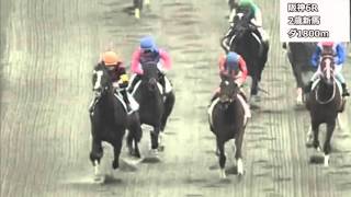 2015年12月13日阪神競馬制裁事象【騎乗停止あり】