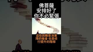 【佛法無邊】佛菩薩安排好了，你不必緊張，持續修行最重要，接受一切發生的事情