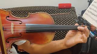 最難的小提琴技巧 ：雙泛音 The Most Difficult Violin technique (double harmonics)