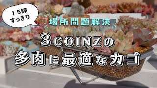 \\ 場所問題解決 / 多肉植物に最適な3COINZのカゴ | ガーデニング | エケベリア | スリーコインズ