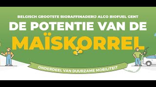 De potentie van de maïskorrel