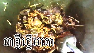 fry Cow Liver with ginger Cambodia Food Tasty Finish - ឆាខ្ញីថ្លើមគោ