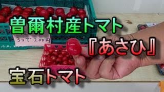 曽爾村　めだか街道の近くにトマト販売所。メチャクチャ甘いミニトマトです。