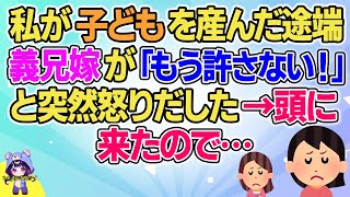 【2ch】【短編3本】私が子どもを産んだ途端、義兄嫁が「もう許さない！」と突然怒りだした→頭に来たので…【ゆっくりまとめ】