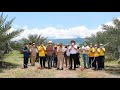 ข่าวภูธร สำนักงานเกษตรจังหวัดพิษณุโลก ขอเชิญทุกท่านอุดหนุนผลผลิตอินทผลัม คุณภาพมาตรฐาน