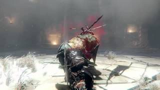 Lords of the Fallen Champion Lord Boss Battle