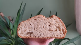 Pane casereccio alveolato senza impasto