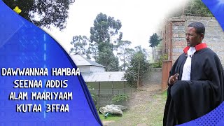 MK TV || Dawwannaa hambaa seenaa Addis Alam Maariyaam kutaa 3ffaa