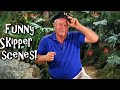 Gilligan's Island: The Best Of Skipper - The Skipper Too! 🎵