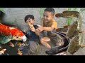 Sawah Banjir Banyak ikan Lele dan Ikan Koi bersama Vicho Bocah Ngevlog