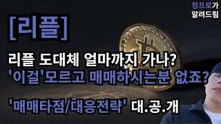 [리플] 지금부터 '이것'만 보세요 / 절대 흔들릴 필요 없습니다 / '0000원'까지 대폭등