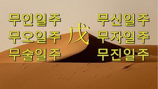 무토일간 2025 을사년 신년운세 | 무인일주 무오일주 무술일주 무신일주 무자일주 무진일주 세운