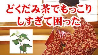 どくだみ茶の健康効果と効能、すごい！