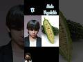 bts members hate vegetables # shorts # your wish #bts # youtube shorts