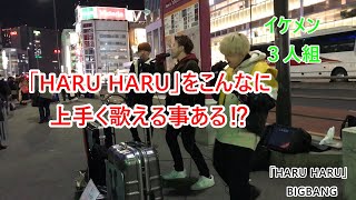 【路上ライブ】HARU HARUーBIGBANGー【歌いだしからイケメン過ぎる】