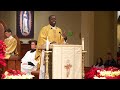 mass of hope from st. mark church opening the jubilee year 2025