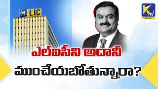 Adani companies and LIC share market real story | How LIC Share becoming weaker? | Gautam Adani