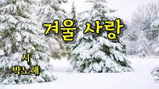 ❄겨울사랑❄박노해❄시낭송