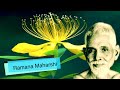 Ramana Maharshi : Practical Lessons In Selfless Actions ~ What Is Selfless Action And How To Do It?