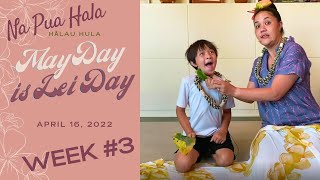 Saturday HULA! - MAY DAY IS LEI DAY - Week #3