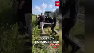 ❗ Пострілами зупинили ухилянтів від втечі до Угорщини!