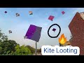 Caught Kite on other Roof | Kite Snatching | Kite Vlog |