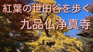 ２０２４年１２月　紅葉の世田谷を歩く『九品仏浄真寺』編