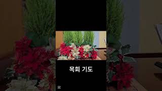 [한누리교회]주일예배_목회기도_2025.01.05.