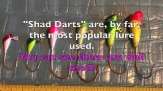 Bonneville Shad Fishing: A How to Quick Start Guide