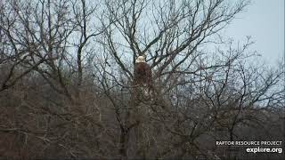 Decorah Mom D in the Area 11 19 2021