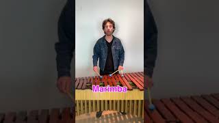 RINGTONES on mallet percussion instruments (marimba, vibraphone, xylophone, glockenspiel, steel pan)