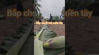 Ăn hoa chuối - bắp chuối hột miền tây độc lạ #anhemmientay #xuhướng #amthuc