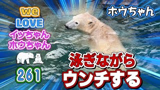 前回「第240話」の倍の量のウンチ💩を泳ぎながらするホウちゃんを激写しました！しかもしかもウンチの中に顔を突っ込みます！ホウちゃん。可愛い❤️【イッちゃんホウちゃん261】