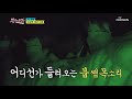 저게 다 뭐야 카메라 보고 놀란 겁쟁이 뽕6ㅋㅋ tv chosun 210317 방송 뽕숭아학당 43회 tv조선