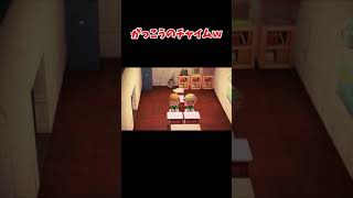 あつもり学校のチャイムw【アナケナ\u0026カルちゃん】あつ森 Animal Crossing: New Horizons