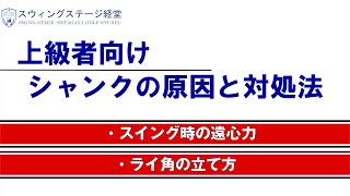 【PGAプロ】平尾貴幸氏によるゴルフ解説【シャンクの原因】