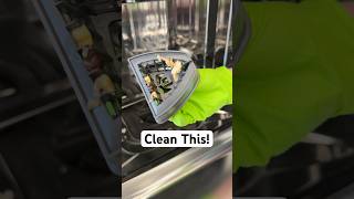 Your Dishwasher Is Dirtier Than You Think