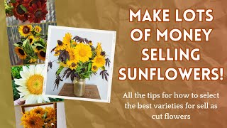 Make lots of MONEY growing and selling sunflowers! The best varieties and all the tips