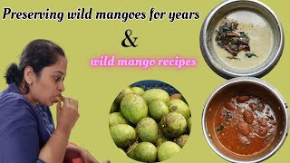 Preserving wild mangoes for years \u0026 wild mangoes recipe |feel the food