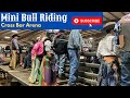 EXTREME Mini Bull Riding || Mini Bucking Bulls