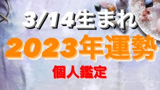 うお座✨3/14生まれ2023年運勢🌈