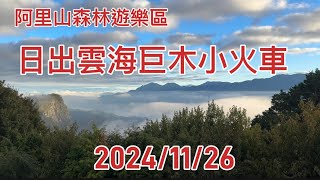 日出雲海巨木小火車在阿里山森林遊樂區-臺北市福德金蘭會阿里山三日遊2024/11/26