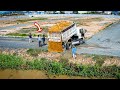 Perfect New Project! Huge Landfill on Flooded Area, Bulldozer KOMATSU D58 & 5Ton Trucks Pushing Soil