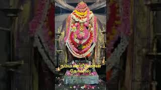 நம்ம ஊர் ல செவ் தோறும் காலை 10முதல் 1வரை குமரன் கோவில் பூஜை நடைபெறும் இன்று போன வாரம் அலங்காரம்