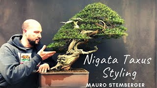Nigata Taxus Styling