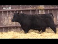 soderglen private treaty lot 405 black angus