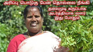 பொடுகு பேன் தொல்லை நீங்கி முடி கருப்பா அடர்த்தியா வளர இது போதும்