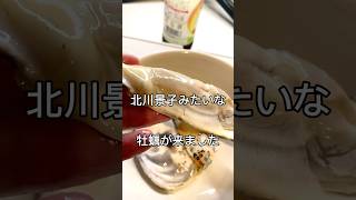 【生牡蠣】生牡蠣食べ続けたらいつあたるのか検証　#生牡蠣 #検証 #大食い #oysters #mukbang #asmr #rawoysters #tiktokfood #モッパン