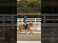 Riding Sunbeam without stirrups #equestrian #horsecommunity #horseriding #pony #dressage #shorts