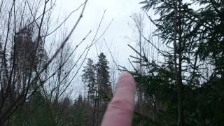 Finding north and south without a compass or sun.